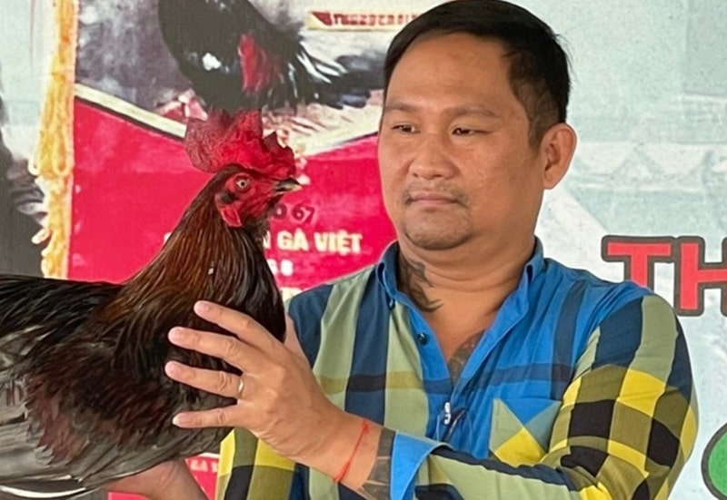 Mít Trà Cú tham gia trận gà 24 tỷ