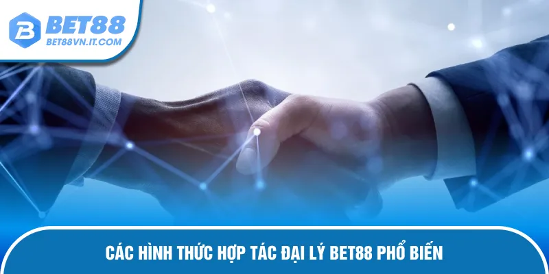 Đại Lý Bet88 Hình thức cấp bậc phân chia cụ thể
